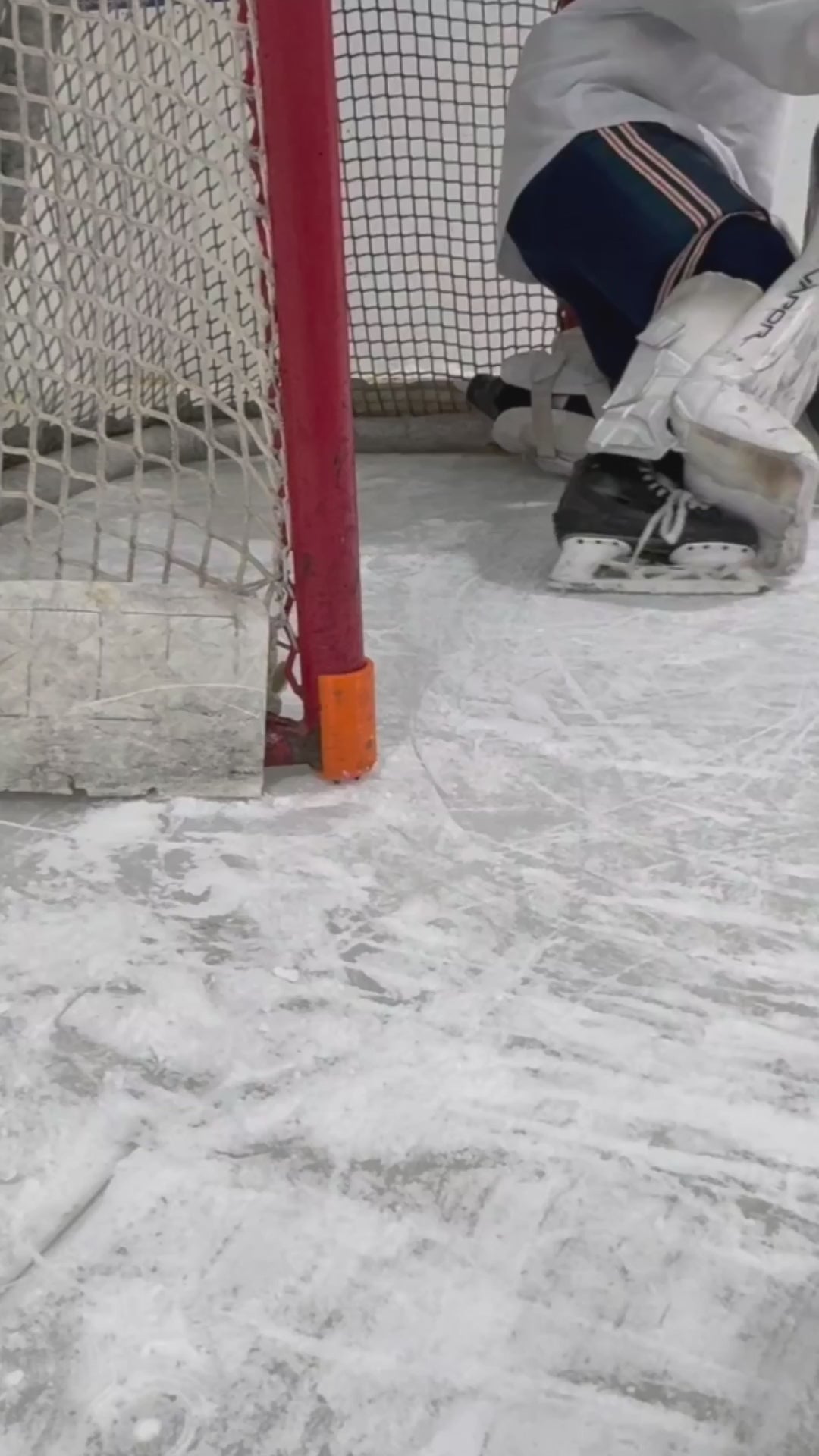 Polar Pegs Guard - Training Net Anchoring System with Skate Protection